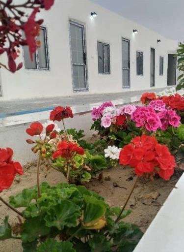 اقامتگاه بومگردی نخل گل در قشم