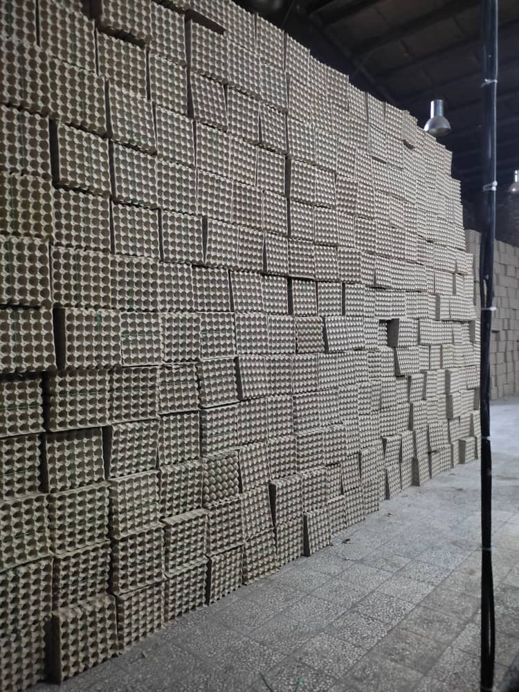 کارخانه تولیدی شانه تخم مرغ ستاره سمنان