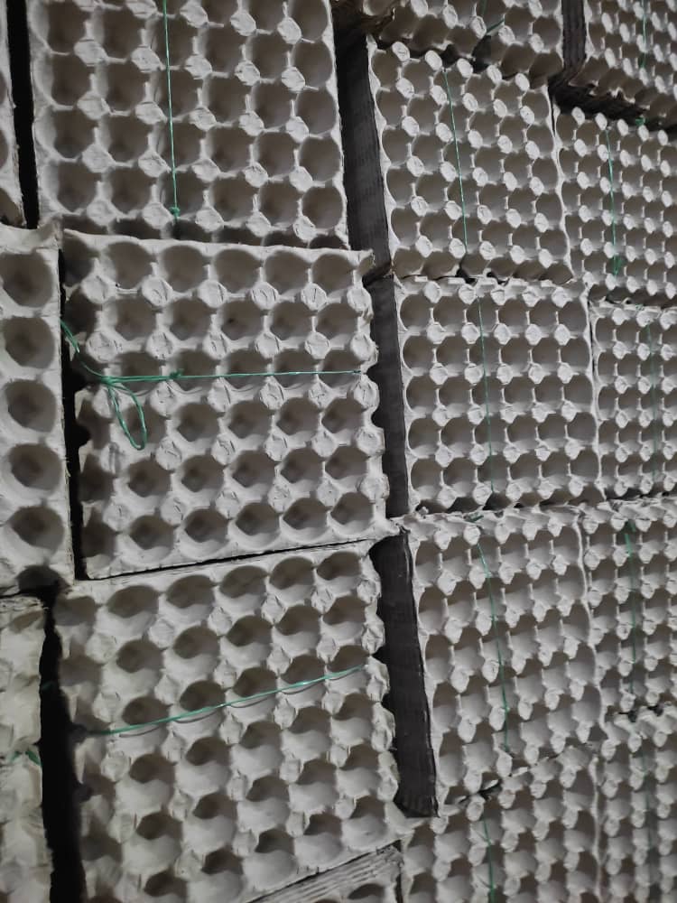 کارخانه تولیدی شانه تخم مرغ ستاره سمنان