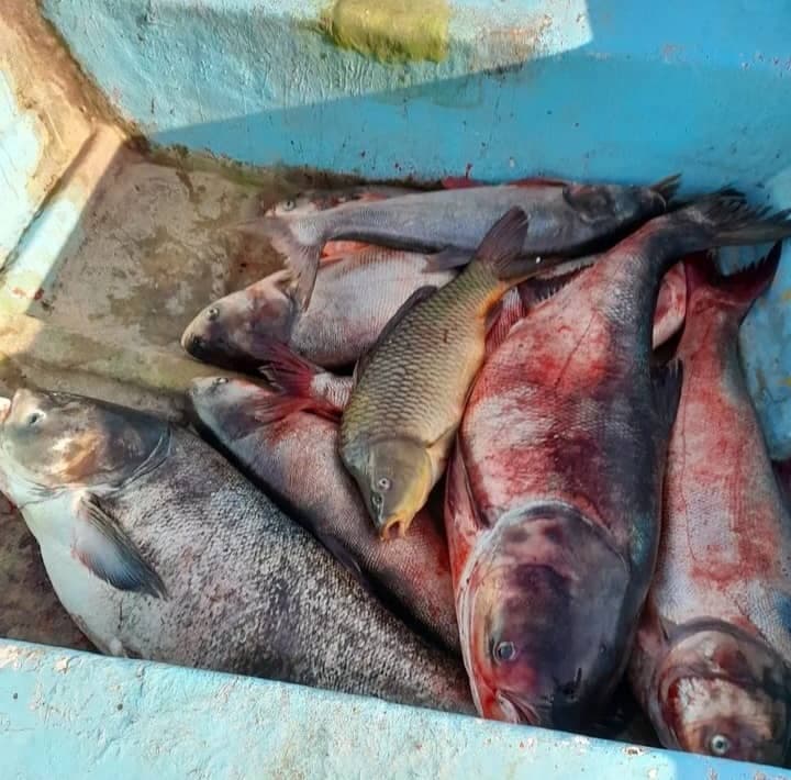 راهنمای تورهای گردشگری و قایق سواری فرهادی در ایذه خوزستان