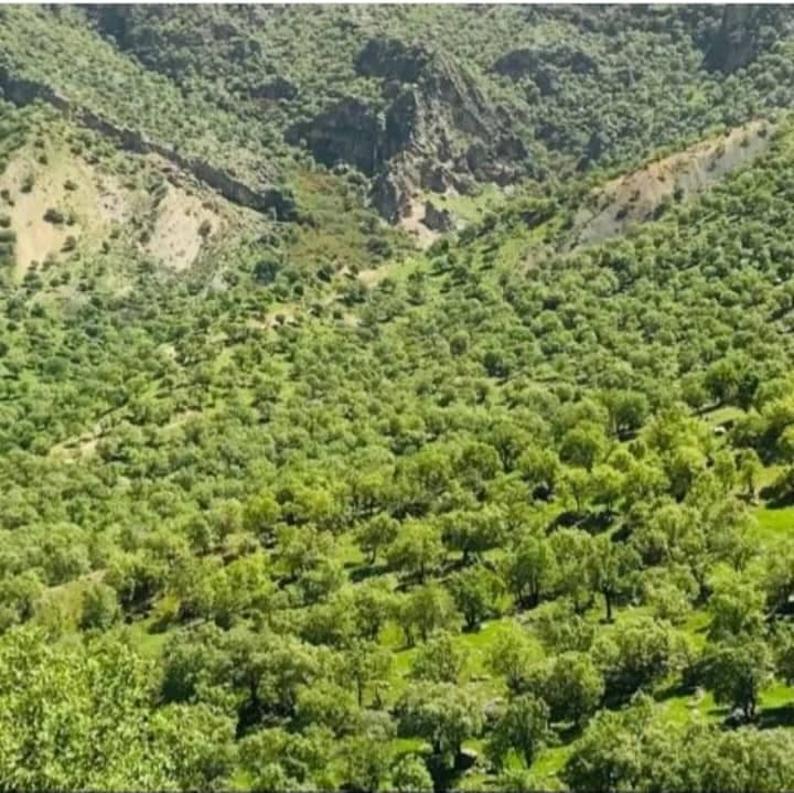 راهنمای تورهای گردشگری و قایق سواری فرهادی در ایذه خوزستان