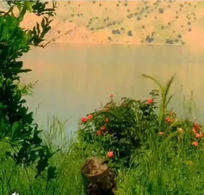 راهنمای تورهای گردشگری و قایق سواری فرهادی در ایذه خوزستان