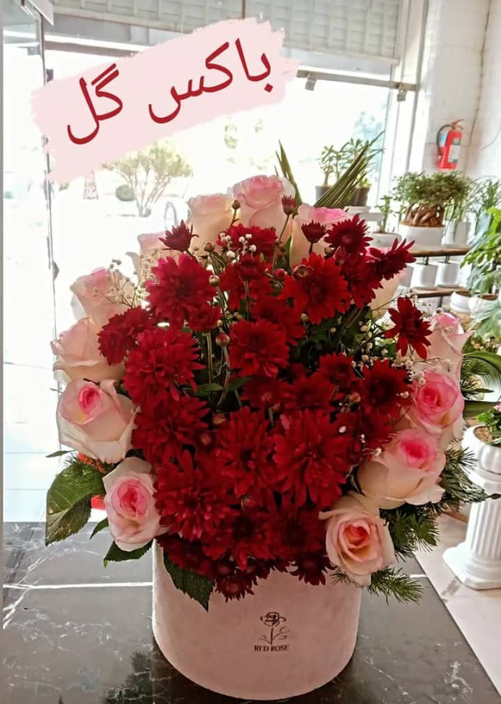 گلسرای النا گل در یزد