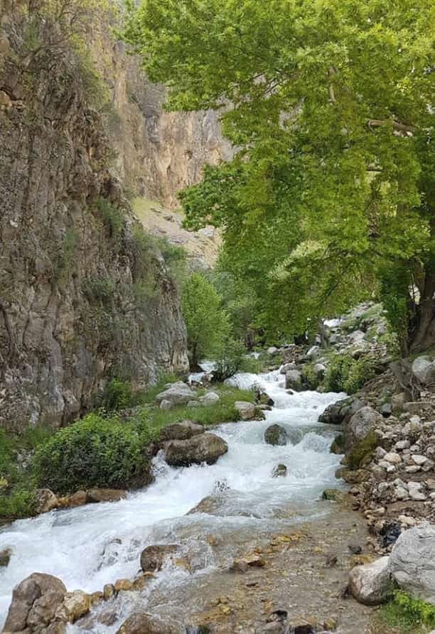 اقامتگاه بومگردی آبشار در دزپارت