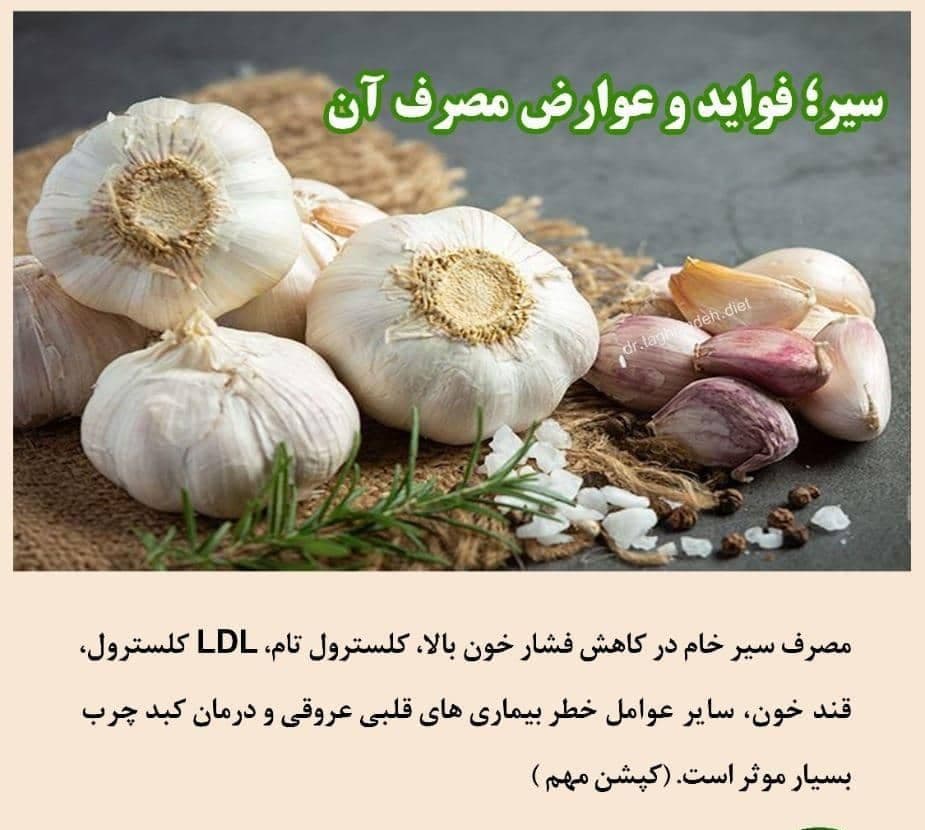 متخصص تغذیه دکتر شهناز تقی زاده در تبریز