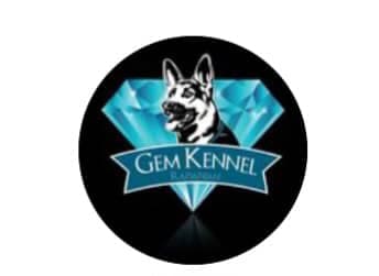 پانسیون آموزش و تربیت سگ gemkennel در رفسنجان