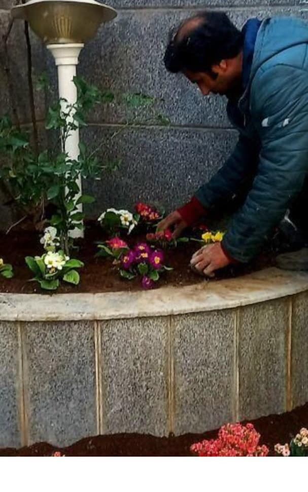 خدمات باغبانی سبز گستران نوده در تهران