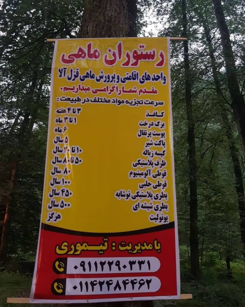 رستوران ماهی تیموری در مازندران