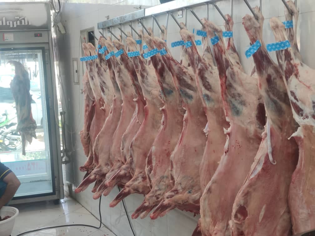 فروشگاه پروتئینی قیمت شکن در نیشابور