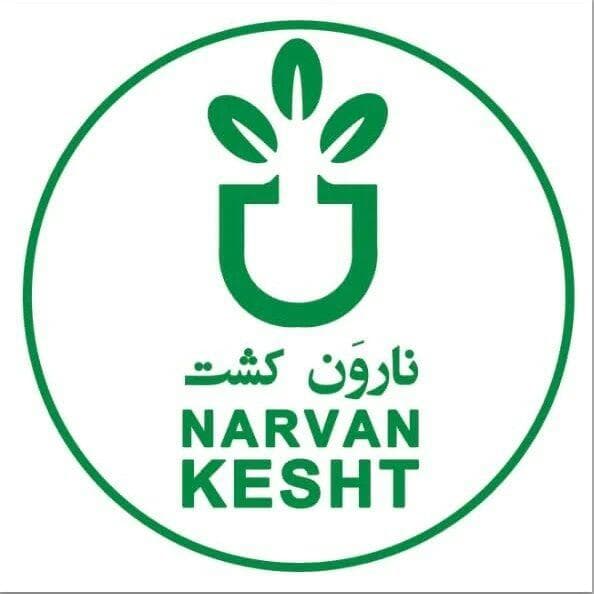 نهالستان نارون کشت در میاندوآب