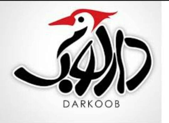 ساخت لانه و آشیانه چوبی حیوانات دارکوب در تهران
