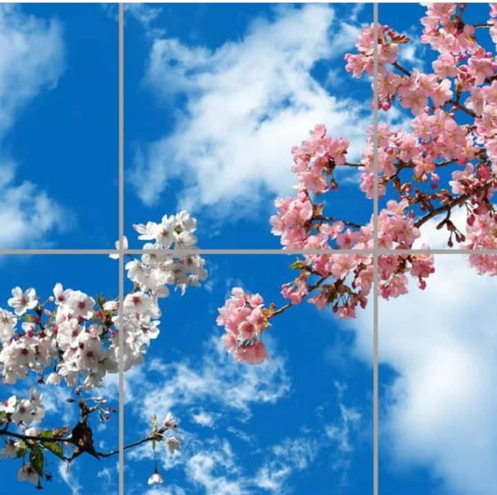 سقف کاذب الا دکور آسمان در تهران