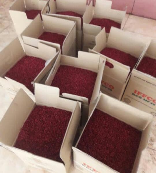 مرکز پخش خشکبار زرع کار در بیرجند