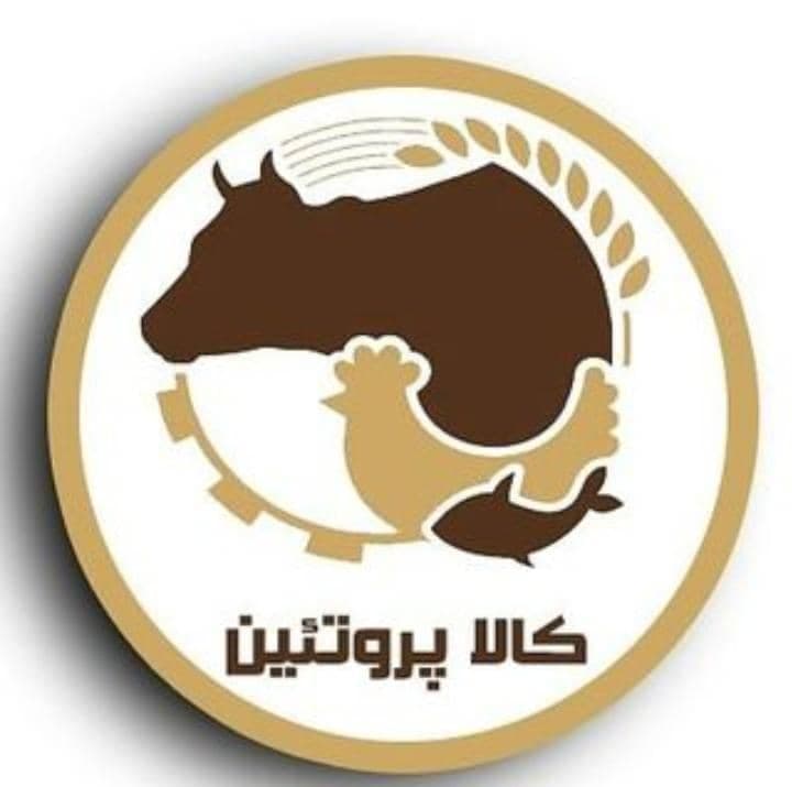 بازرگانی کالا پروتئین در تهران