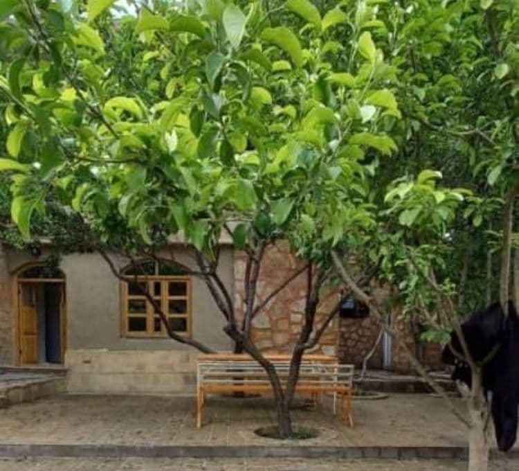 اقامتگاه بومگردی بام در فریزی گلبهار