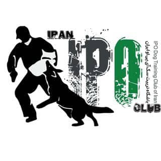باشگاه تربیت سگ ایران ipo در کرج