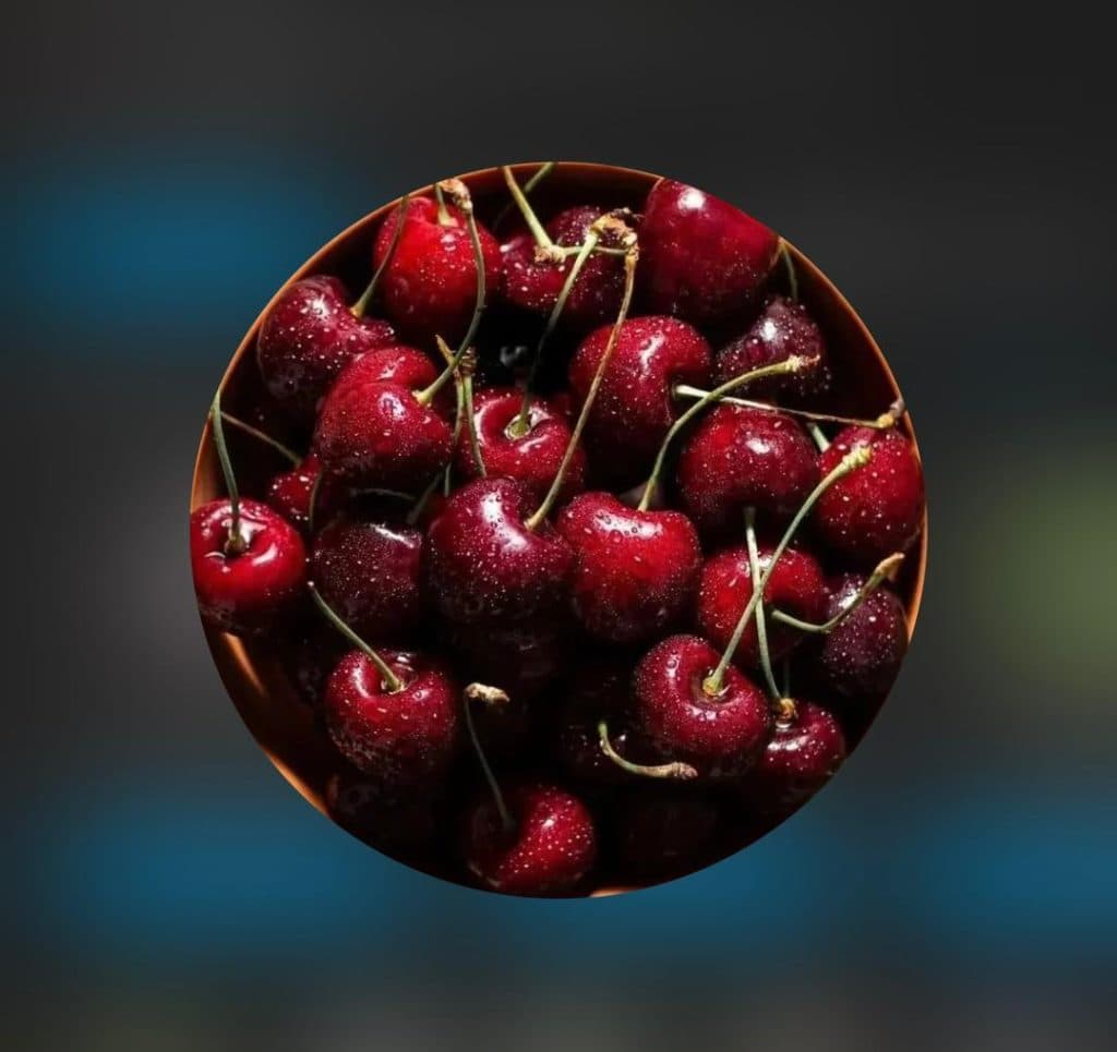 تولید و فروش نهال پیوندی و اصلاح شده برتر نهال در آذربایجان غربی