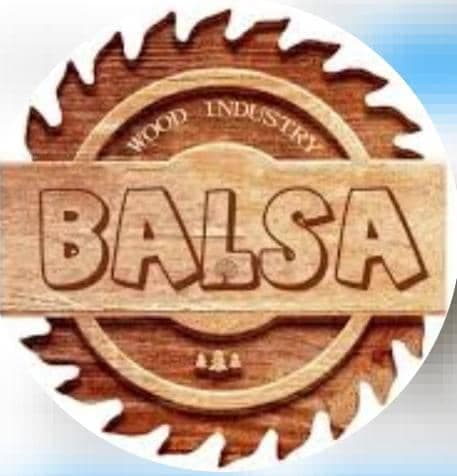 تولید و پخش سرویس خواب balsa محمدی در تهران