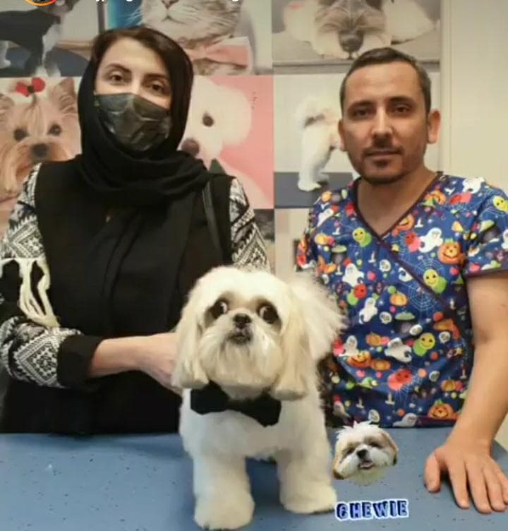 آموزش و گرومینگ و آرایش حیوانات خانگی عمو ایرج در تهران