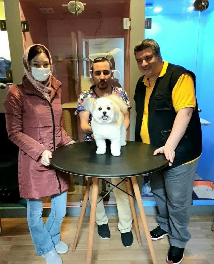 آموزش و گرومینگ و آرایش حیوانات خانگی عمو ایرج در تهران