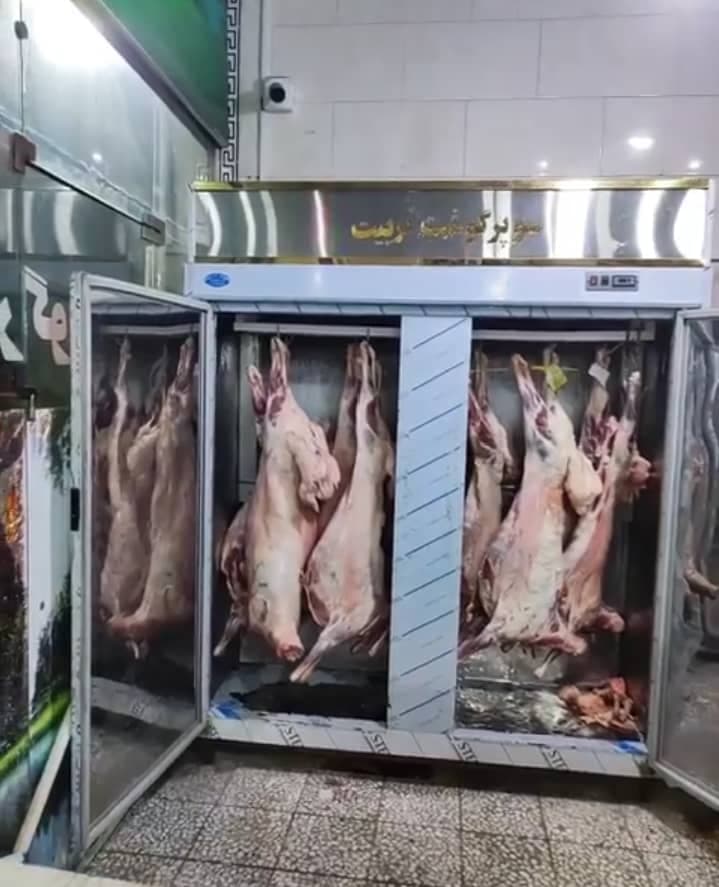 سوپر گوشت تربیت در تالش