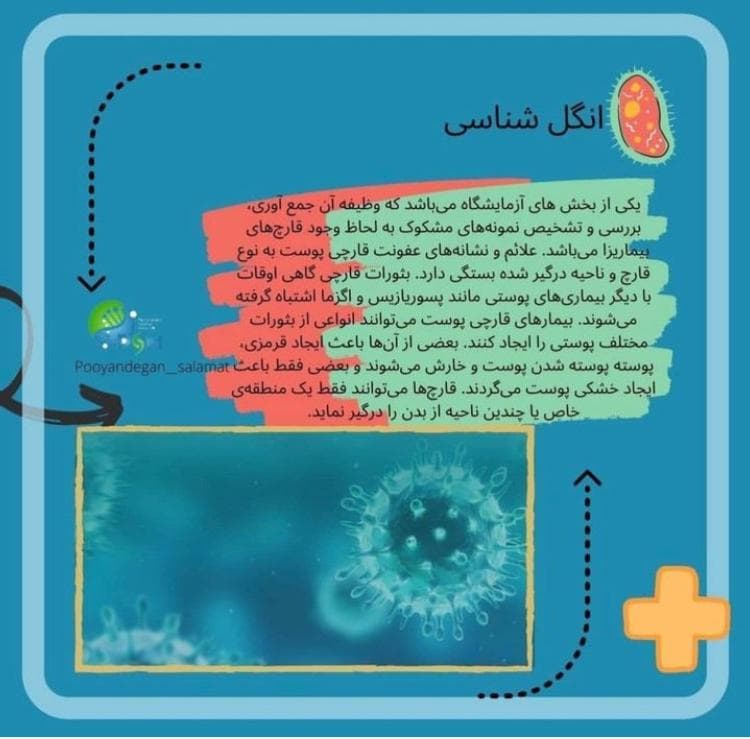 آزمایشگاه تشخیص طبی نوید تبریز