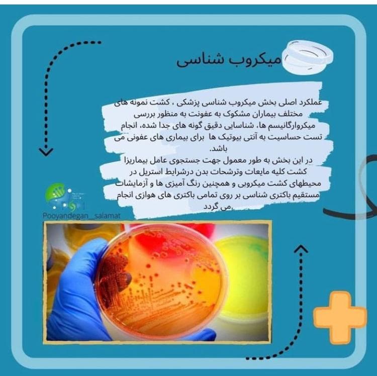 آزمایشگاه تشخیص طبی نوید تبریز