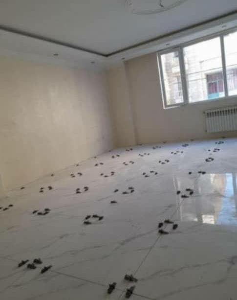 خدمات کاشی کاری و سنگ کاری تقی آبادی در نیشابور خراسان رضوی