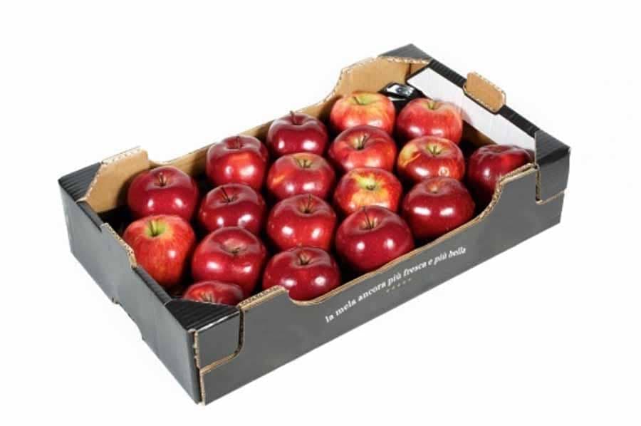کارتن سازی و صنایع سلولوزی روژان مقام کردستان در سنندج