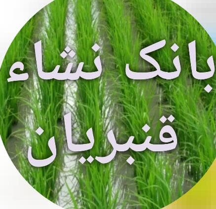 بانک نشاء قنبریان در ساری مازندران