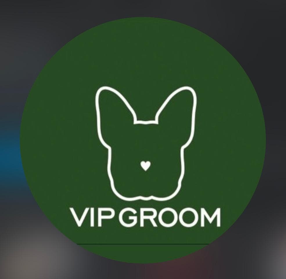 آرایشگاه تخصصی حیوانات خانگی vip groom در بندرانزلی گیلان