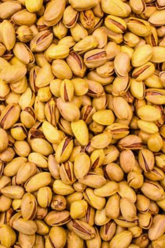 پخش خشکبار پاکان در منطقه آزاد ارس جلفا