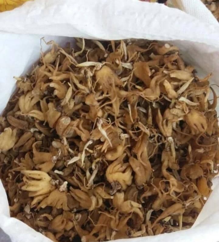 فروش و پخش گیاهان دارویی سید علی میرزایی در گلستان