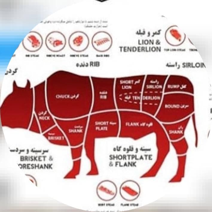 فروش و پخش گوشت های منجمد گوساله و گوسفندی پروتئین پارس در تهران