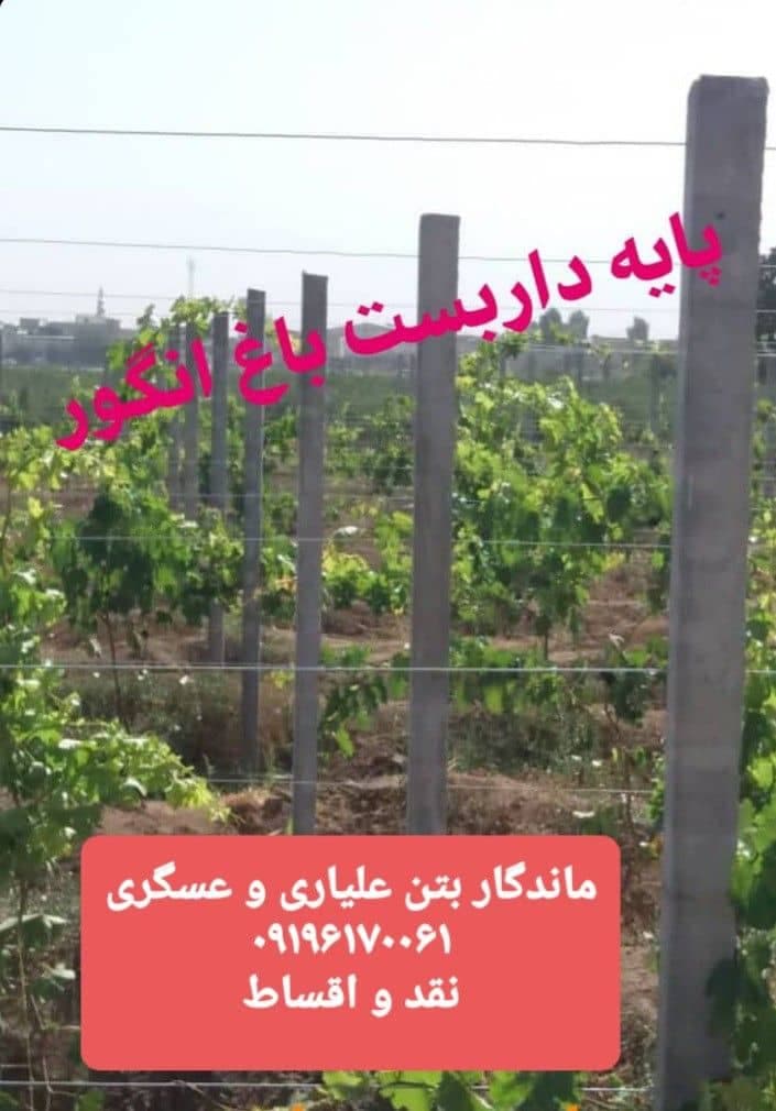 تولید و فروش پایه فنس بتنی و تیرچه باغی ماندگار بتن در تاکستان قزوین