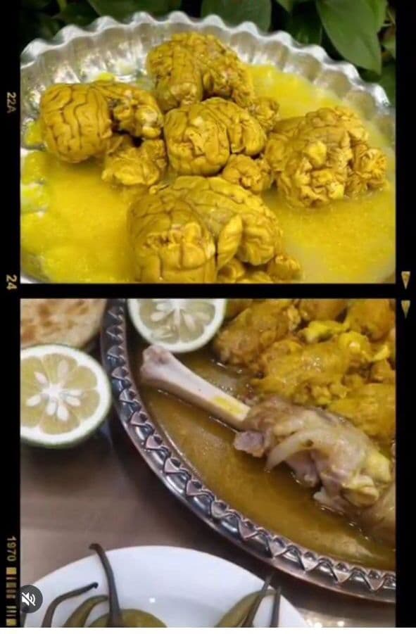 طباخی دارچین در آمل