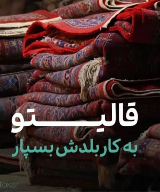 قالیشویی و مبل شویی ابتین در شیراز