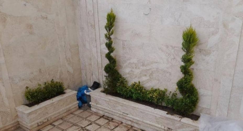 محوطه سازی و فضای سبز محمدی در مشهد