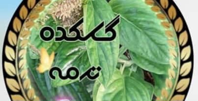 گلکده ترمه در آمل