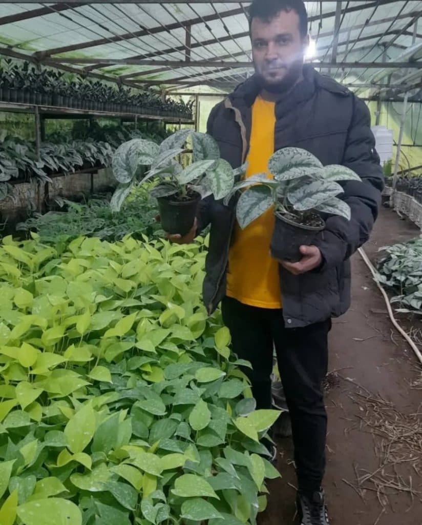 گلکده ترمه در آمل
