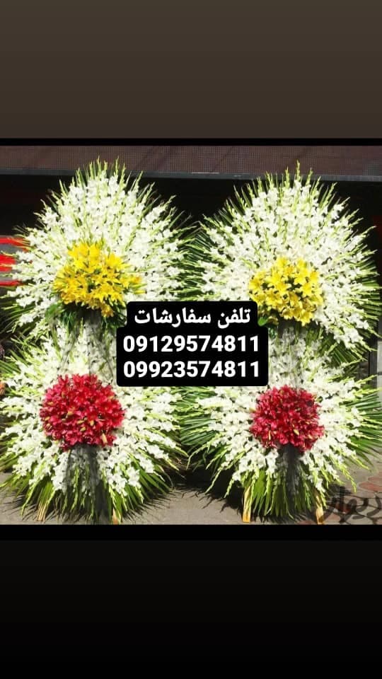 گلسرای ارکیده در تهران