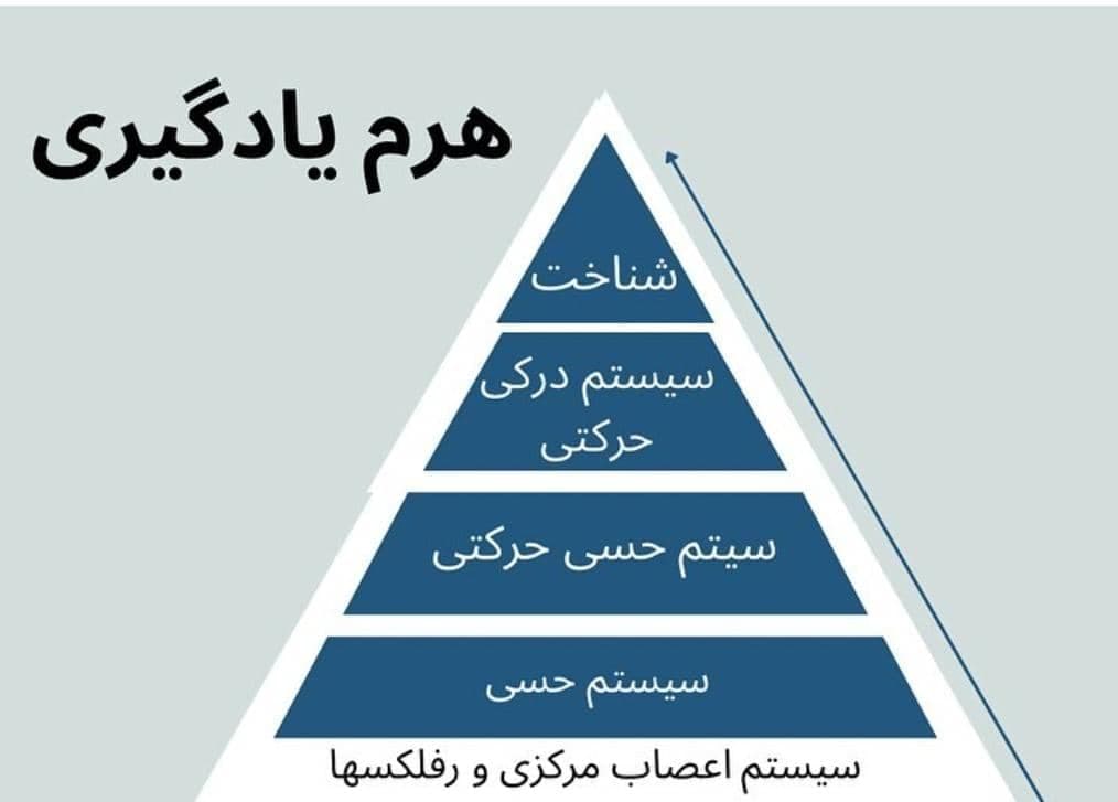 کلنیک کاردرمانی و توانبخشی و اختلالات اتیسم بیش فعالی مختارزاده در تبریز