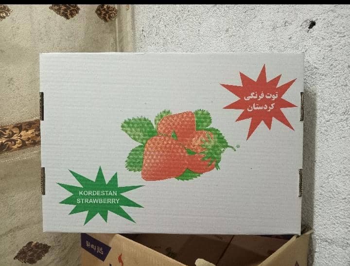 کارتن و جعبه اولدوز در تبریز
