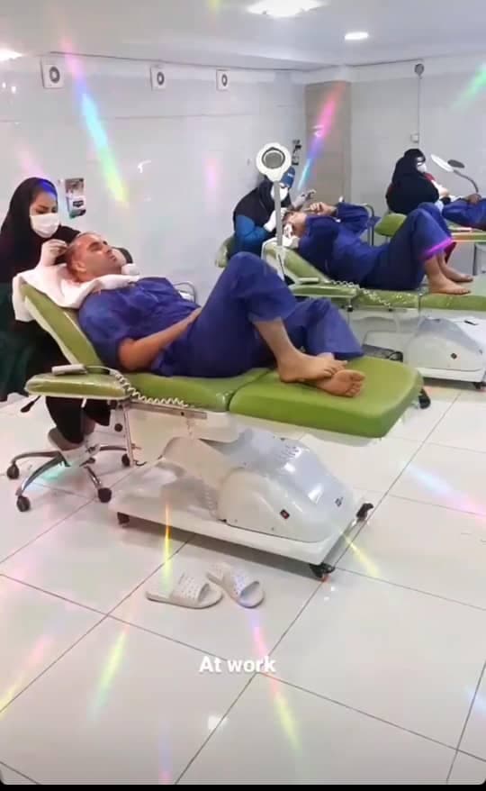 کاشت مو رشنو در کرمانشاه
