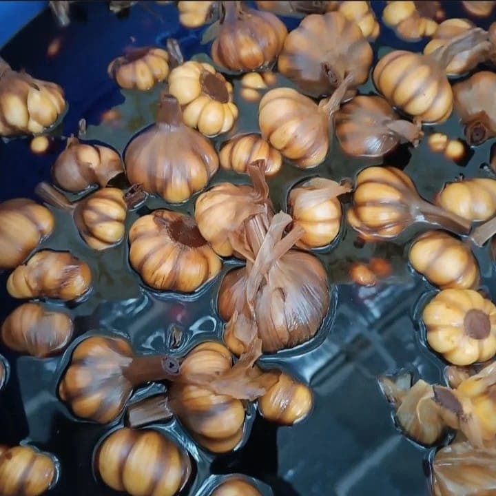 پخش زیتون و روغن زیتون و سیرترشی الین در زنجان