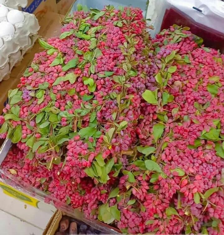 هایپر میوه امین در شوشتر خوزستان