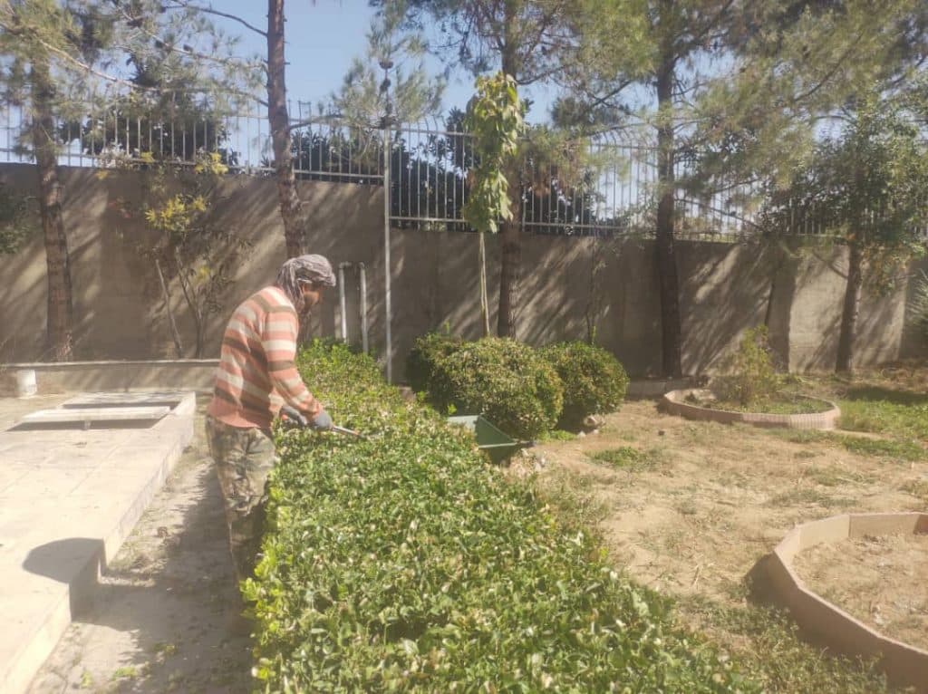 گلخانه همیشه بهار در شیراز