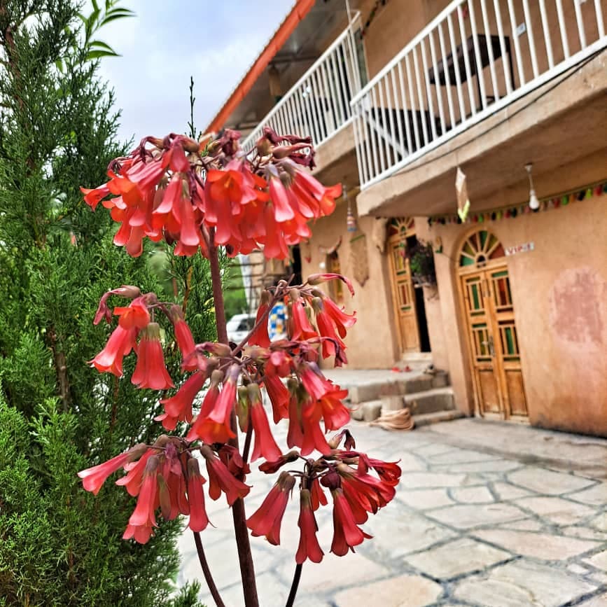 باغ و اقامتگاه بومگردی وارگه سلمان در باغ ملک خوزستان