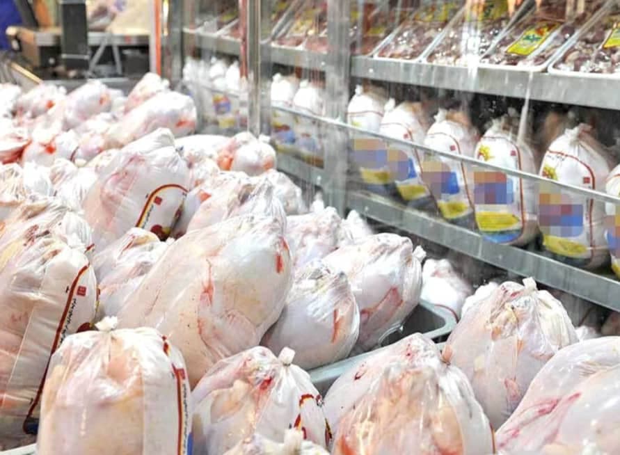 پخش و فروش مرغ کشتار روز و ماهی و میگو جلیلی در مسجد سلیمان