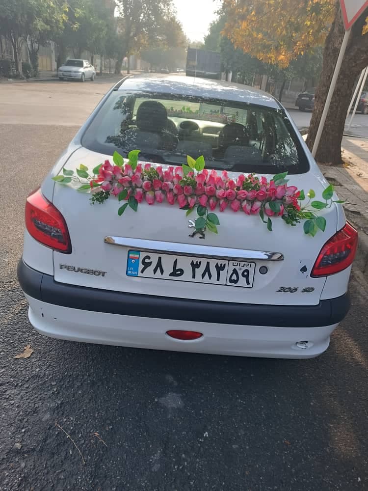 تشریفات یا در گرگان